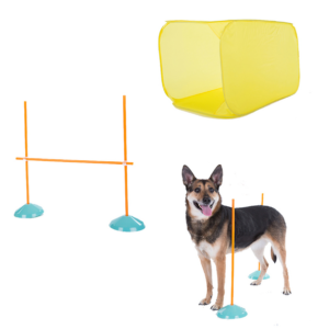 Outward Hound ZipZoom Agility KIt Indoor