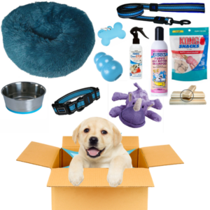 Puppy Pack Blue - Large Deluxe