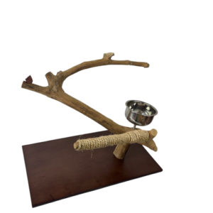 Tabletop Bird Gym